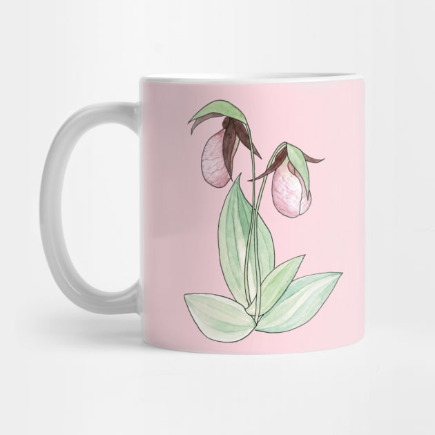 Pink Lady's Slipper Orchid Watercolor Illustration by Danica Templeton Art